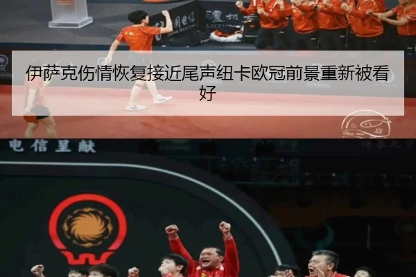 伊萨克伤情恢复接近尾声纽卡欧冠前景重新被看好